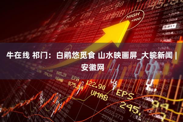 牛在线 祁门：白鹇悠觅食 山水映画屏_大皖新闻 | 安徽网