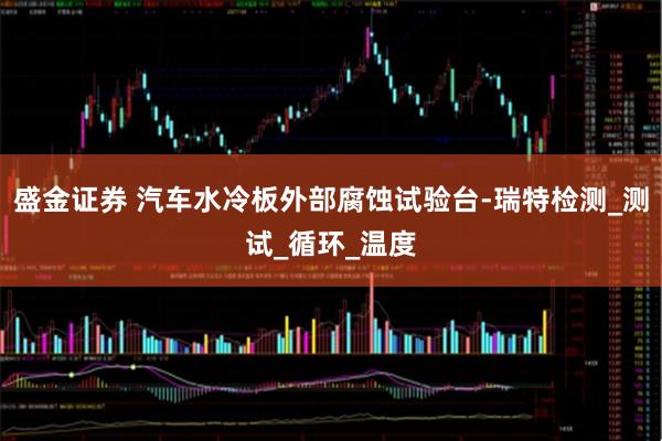 盛金证券 汽车水冷板外部腐蚀试验台-瑞特检测_测试_循环_温度