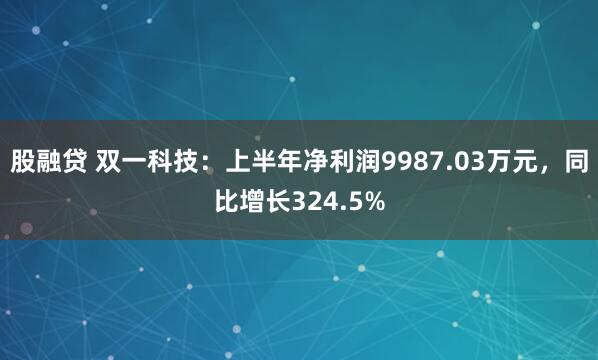 股融贷 双一科技：上半年净利润9987.03万元，同比增长324.5%