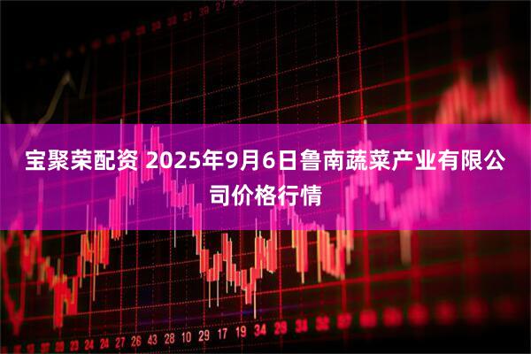 宝聚荣配资 2025年9月6日鲁南蔬菜产业有限公司价格行情
