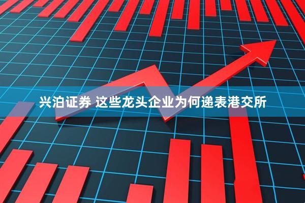 兴泊证券 这些龙头企业为何递表港交所