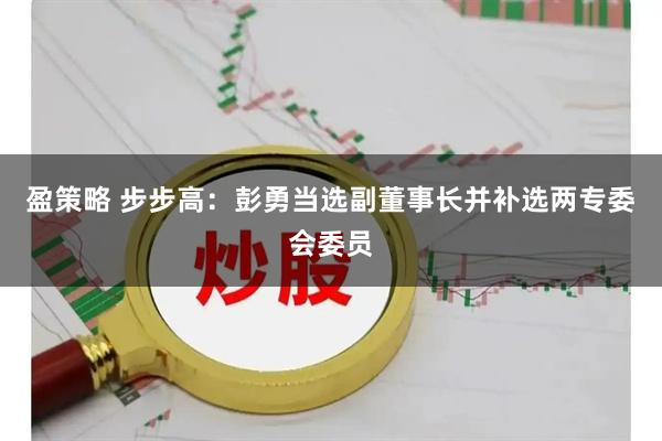 盈策略 步步高：彭勇当选副董事长并补选两专委会委员