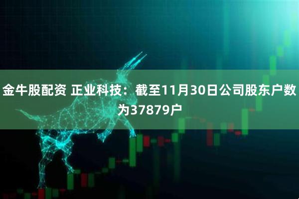 金牛股配资 正业科技：截至11月30日公司股东户数为37879户